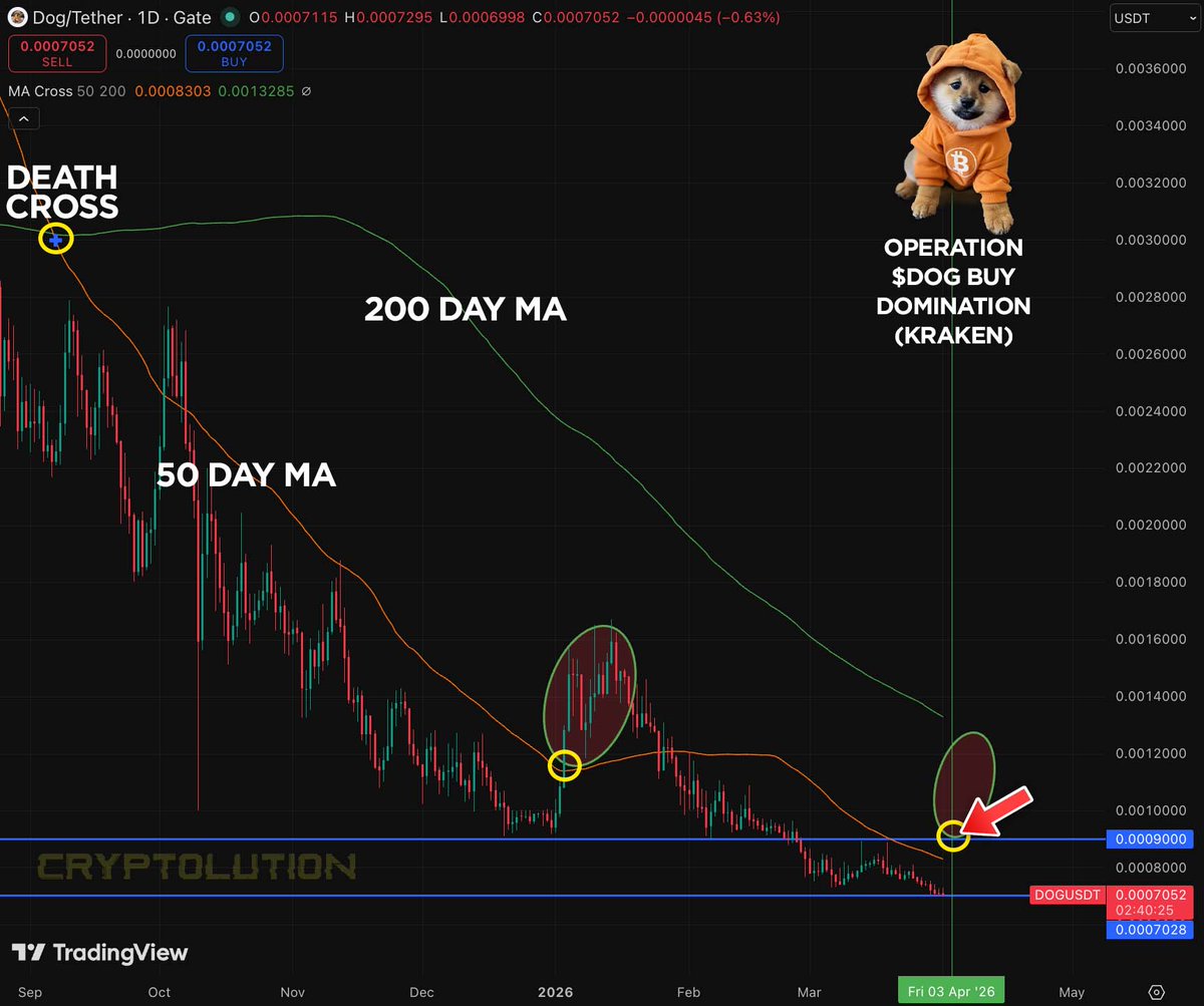 Vincent (Cryptolution) 👑 tweet media