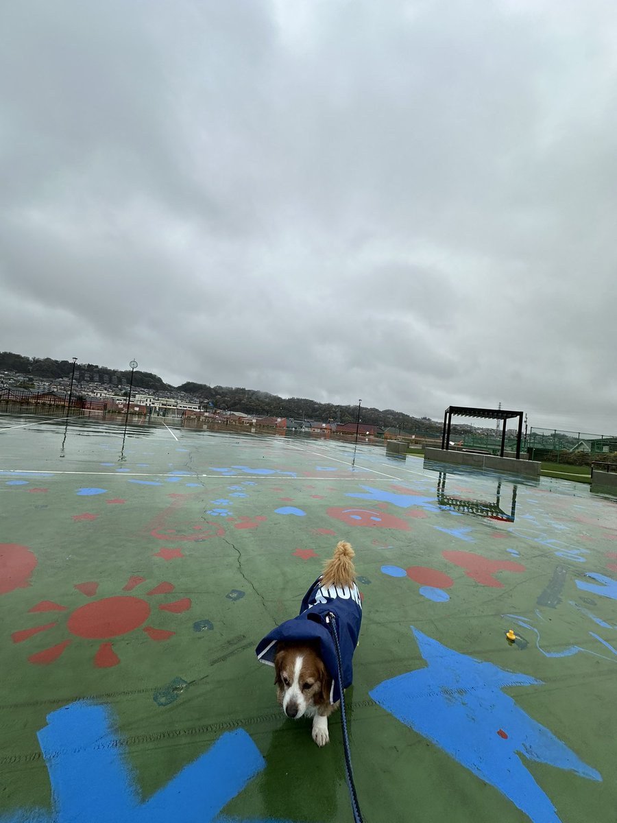 てんちょ～☆レーシングマックス府中店🏍 tweet media