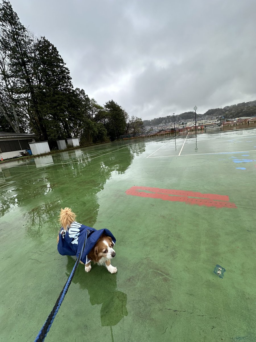 てんちょ～☆レーシングマックス府中店🏍 tweet media