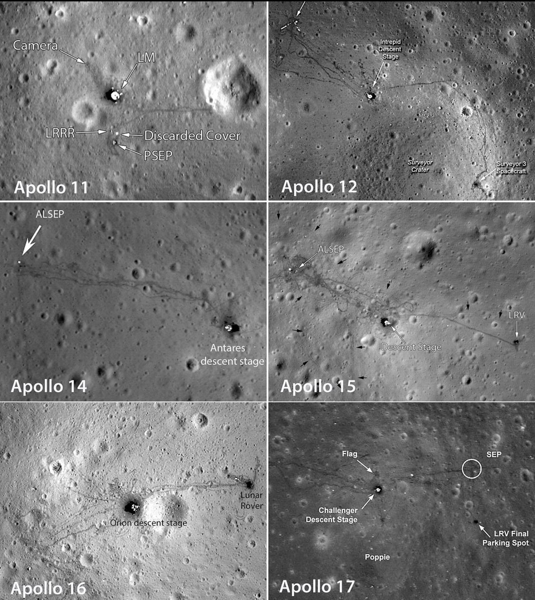 Toliver The Scotty tweet media