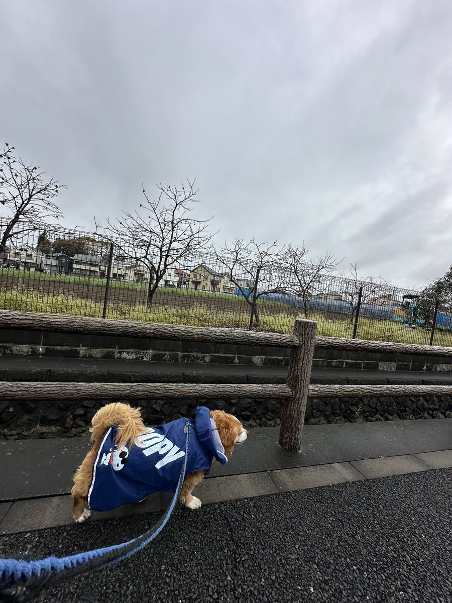 てんちょ～☆レーシングマックス府中店🏍 tweet media