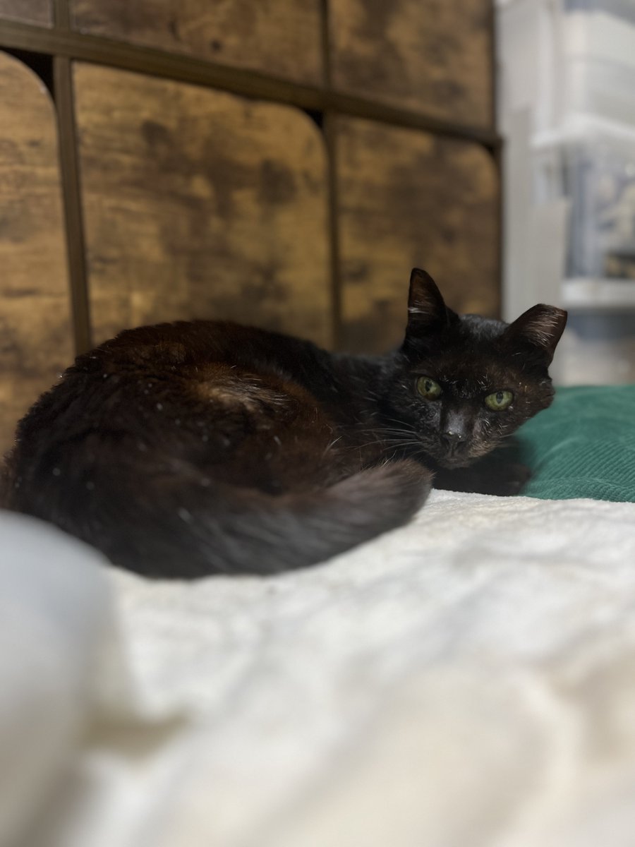 なかのひと的な2 tweet media