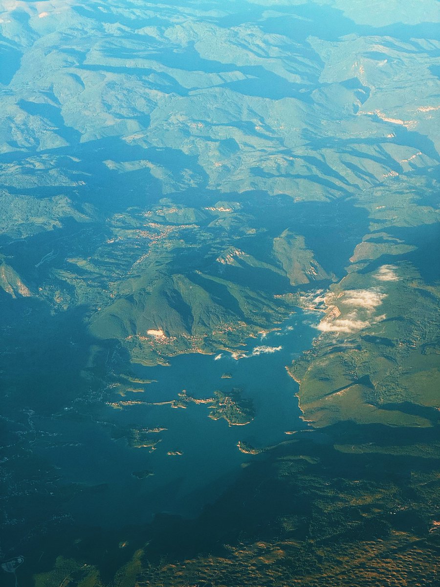 Fin Moorhouse tweet media