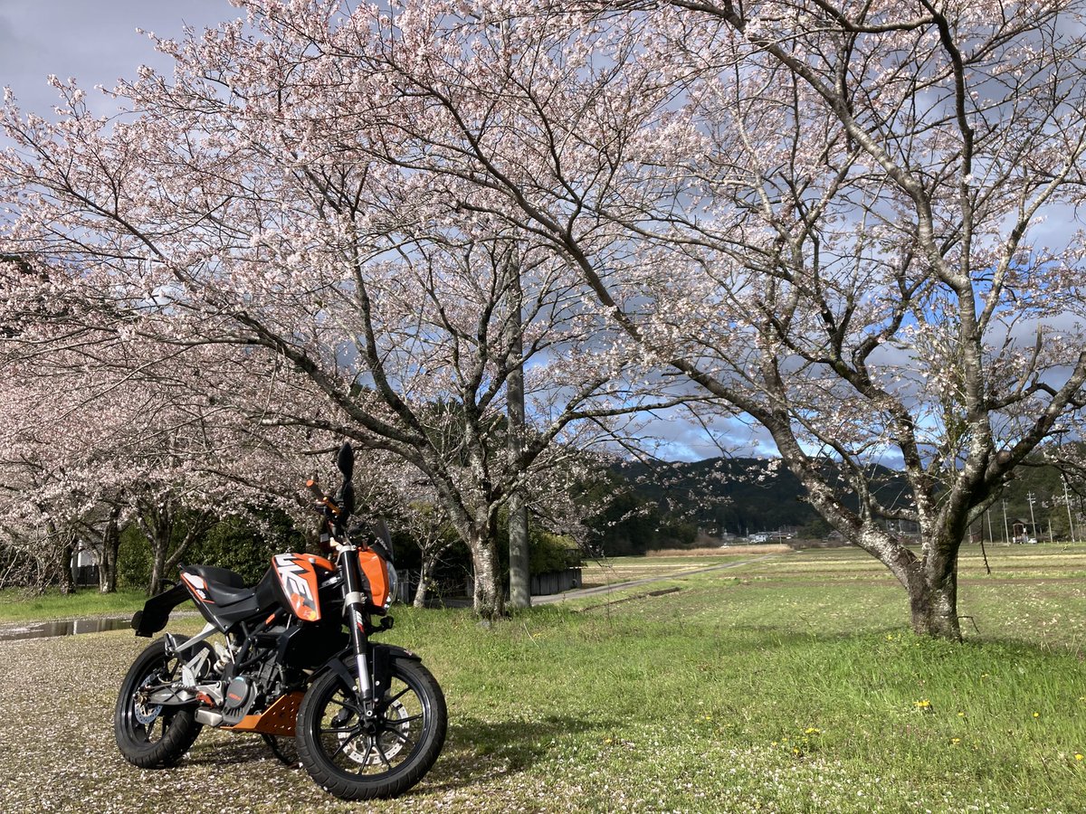 ラムラム西山 tweet media