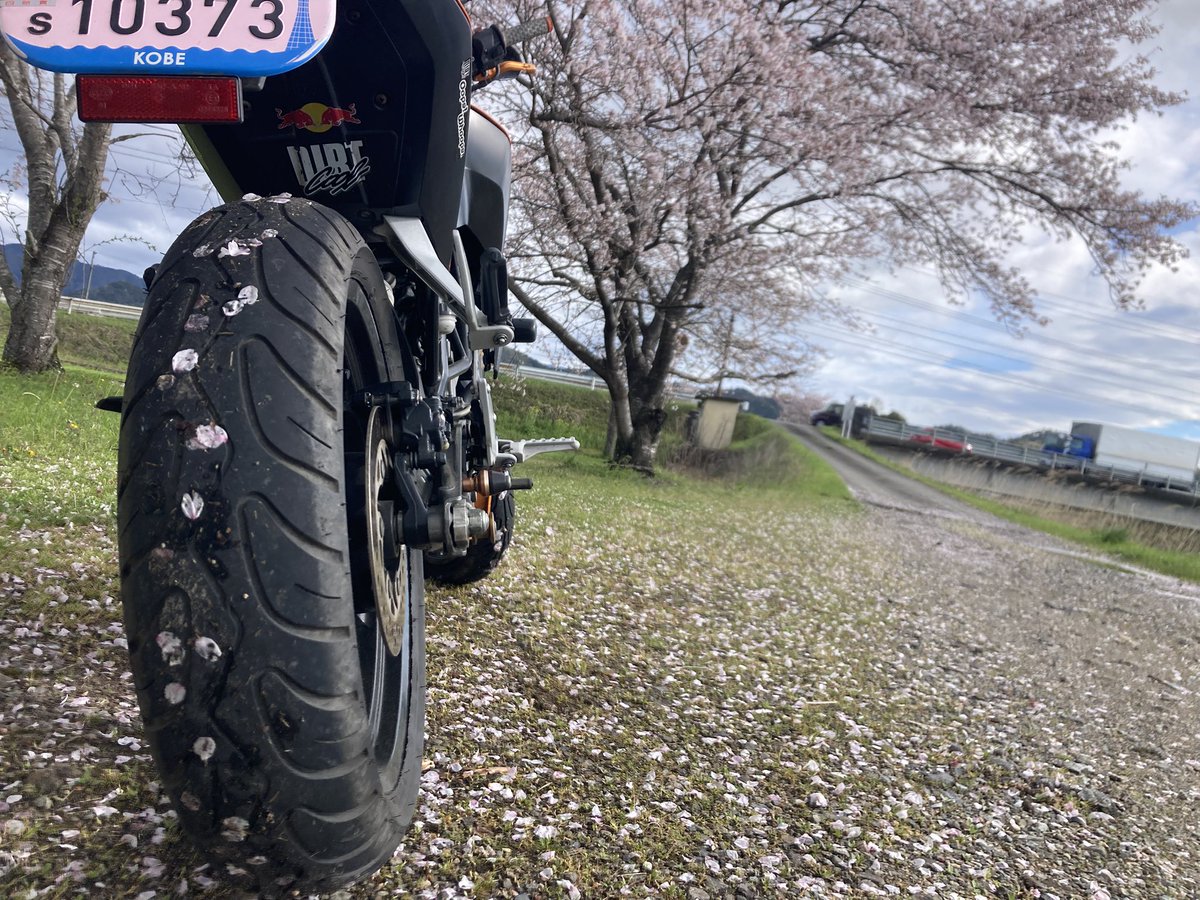 ラムラム西山 tweet media