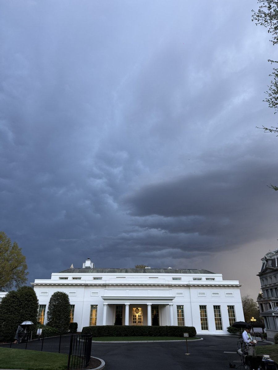 بندر tweet media