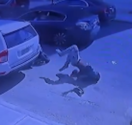 ⚔️ 𝕁. 𝕂𝕟𝕚𝕘𝕙𝕥 ⚔️ tweet media