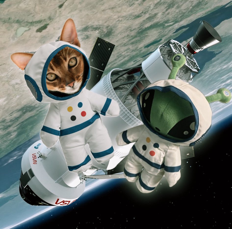 Viktor Reveck tweet media