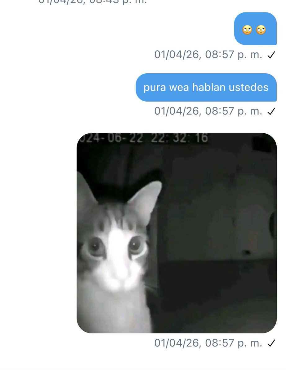 emii | au franchaela 🏰 tweet media