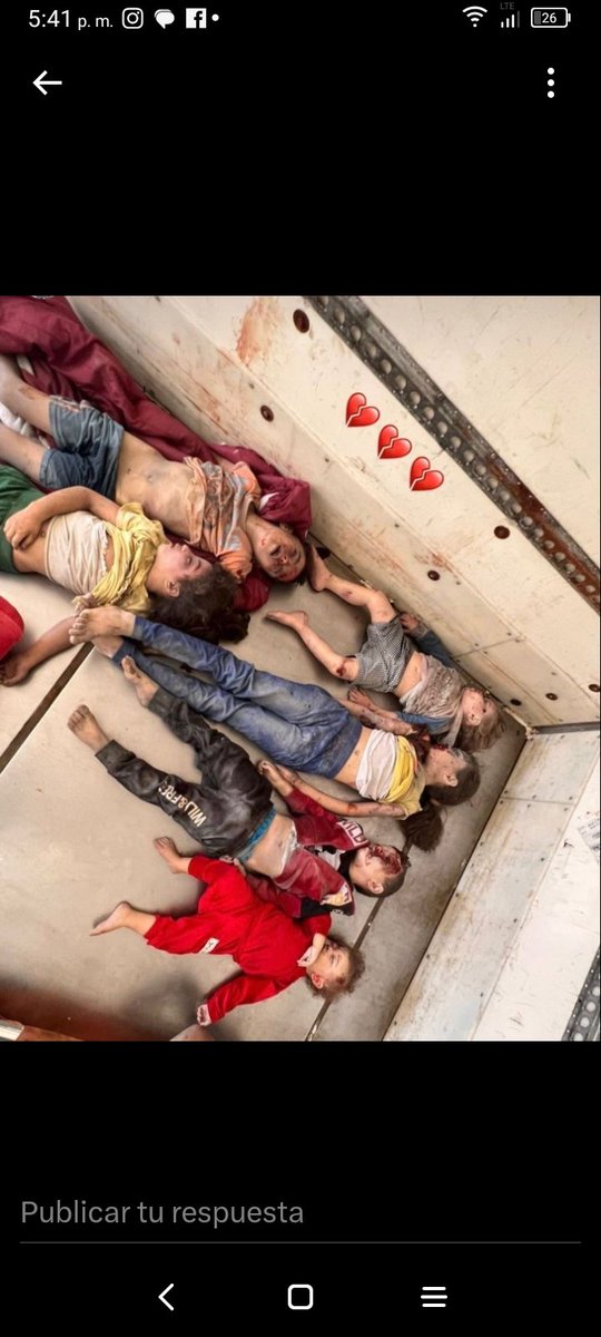 Fed38817Rosanna's tweet photo. @IsraelinSpanish LOS NIÑOS PALESTINOS.. CERRÁ EL ORTO HDP ! IRÁN LOS VA A #EXTIRPAR DEL PLANETA ! https://t.co/EJo0sbILLf
