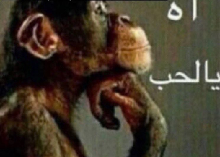 killer never looked so sweet tweet media