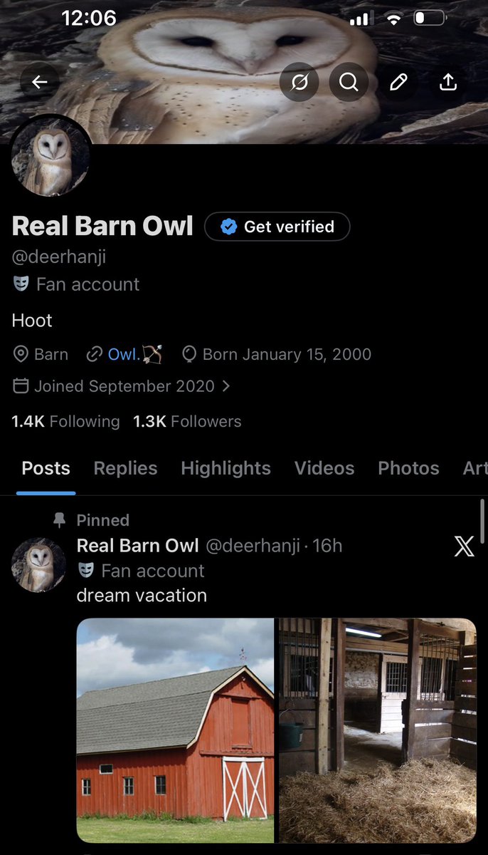 dia ディア 🦌🌻 tweet media