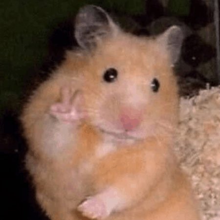 finn wolfhard videos tweet media