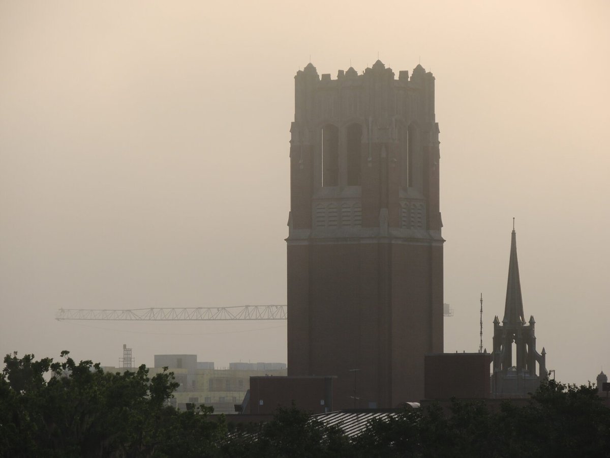 WMNF 88.5 FM tweet media