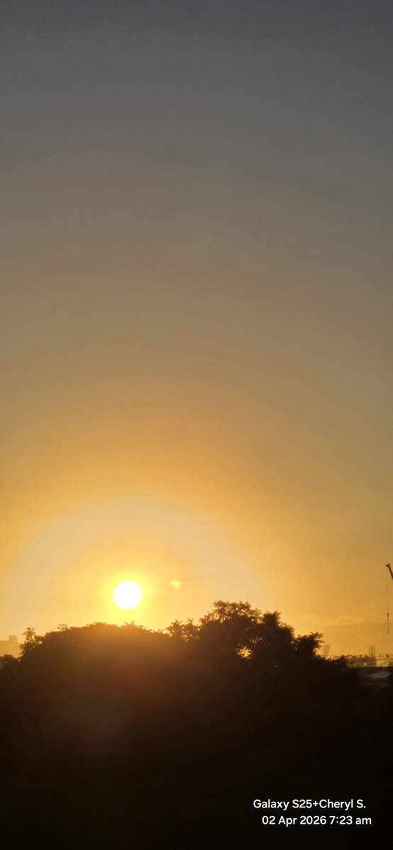 Cheryl Scheffer tweet media