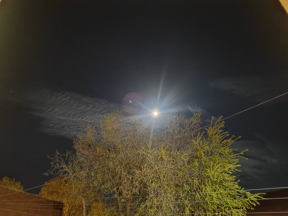 🅼🅸🅶🆄🅴🅻 tweet media