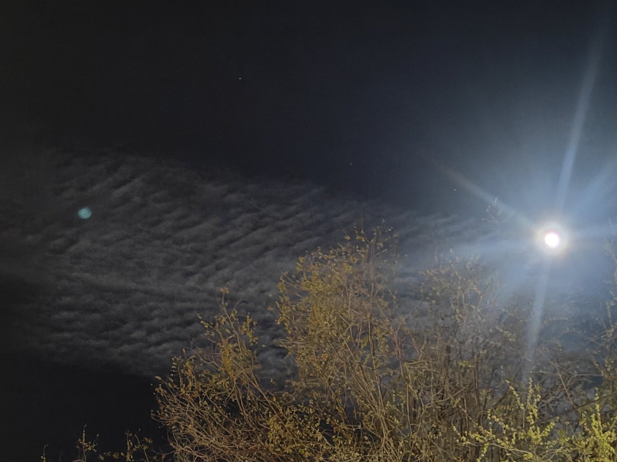 🅼🅸🅶🆄🅴🅻 tweet media