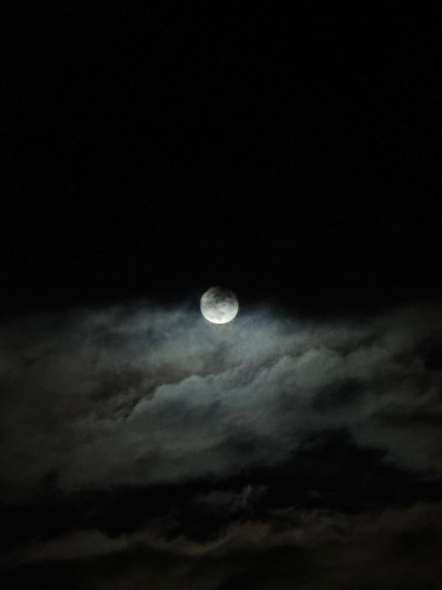 MY DAY 🌷🌷🌷🌷 tweet media