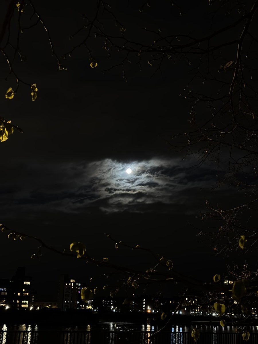 MY DAY 🌷🌷🌷🌷 tweet media