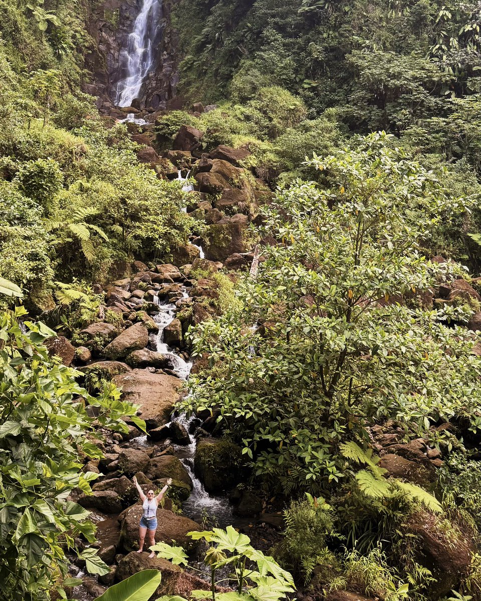 ᴀʟᴇ ᴍᴇᴢᴀ 🎠 tweet media