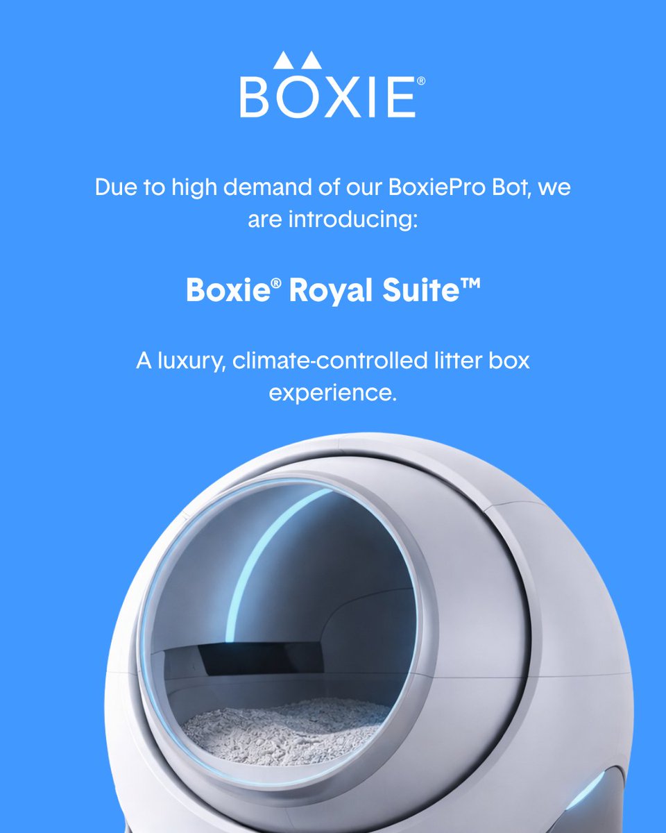 HelloBoxiecat's tweet photo. Available April 31st. 🤖 https://t.co/D0yZMoRPWb