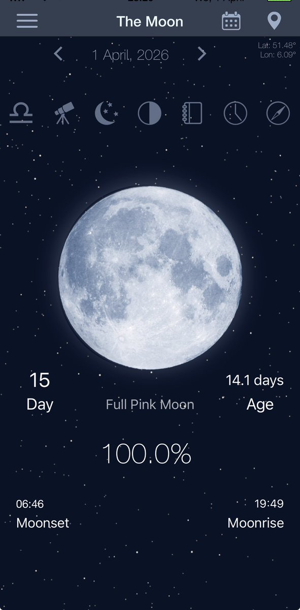 🌼Elly MichielsFleuren🌼 tweet media