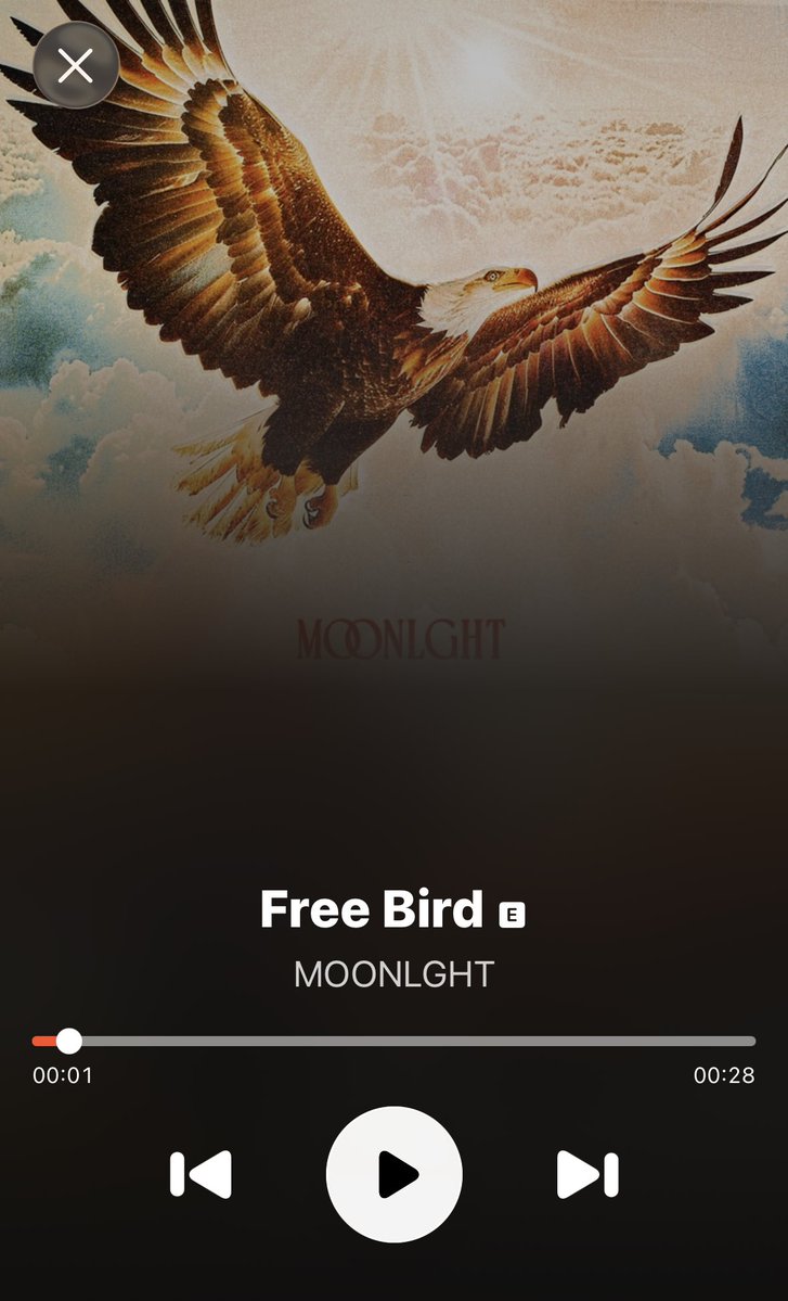 Derrick Goold tweet media