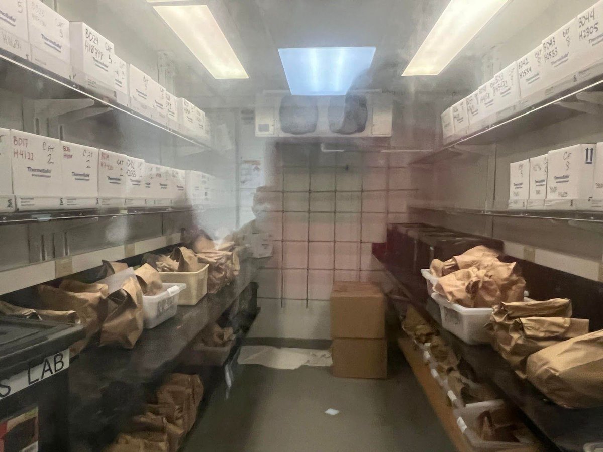 Ignacio Arsuaga tweet media