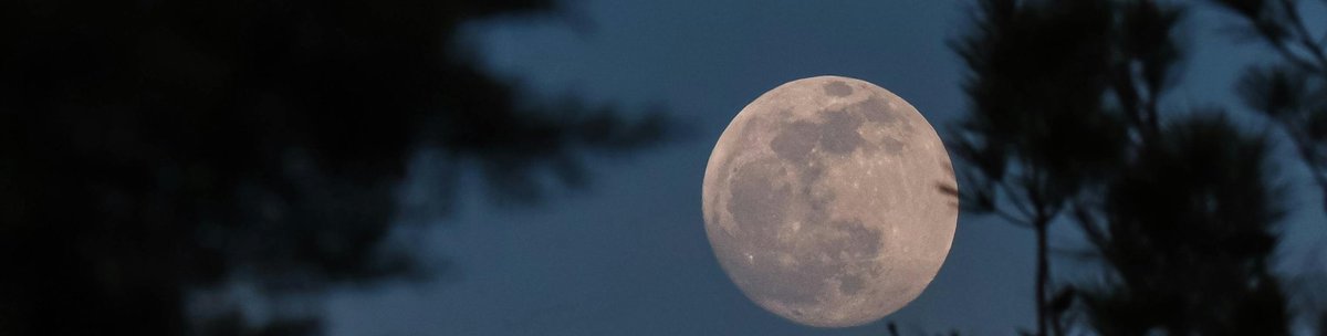 عبدالعزيز الثقفي tweet media