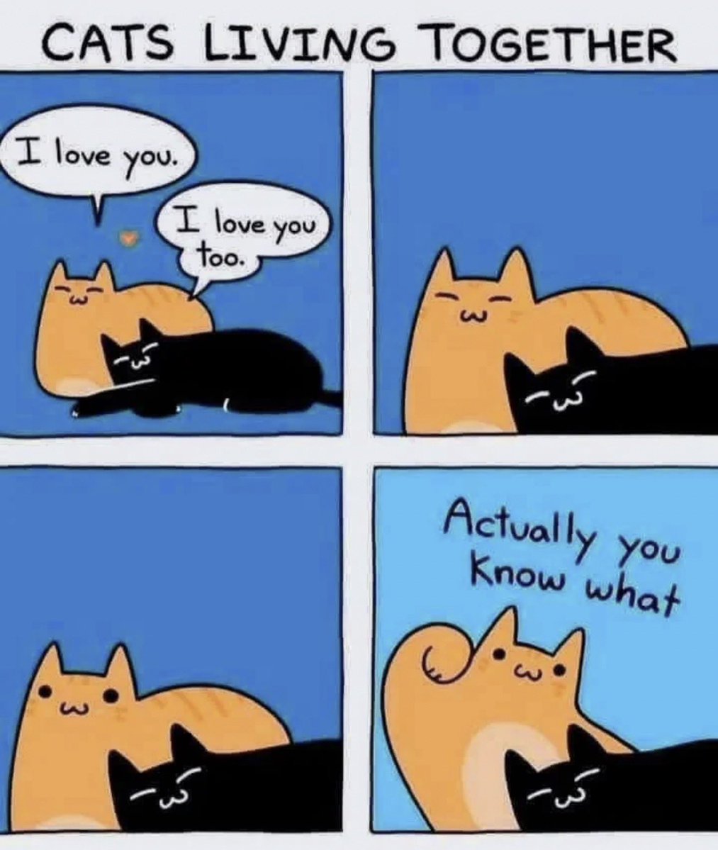 Antidepressant Content tweet media