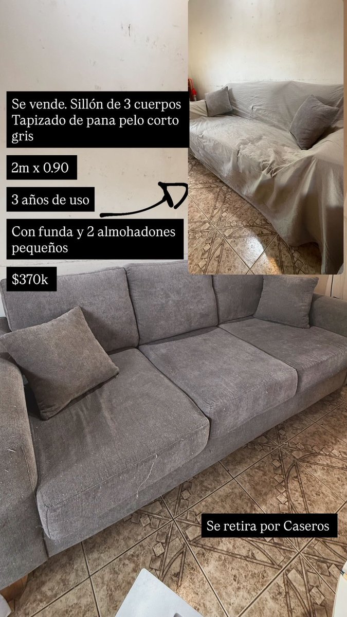 Daniela 🦖 tweet media