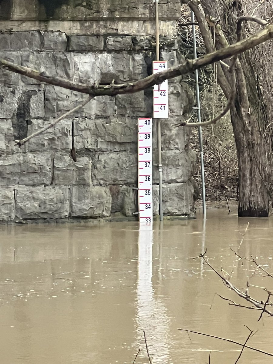 Jack Haley tweet media