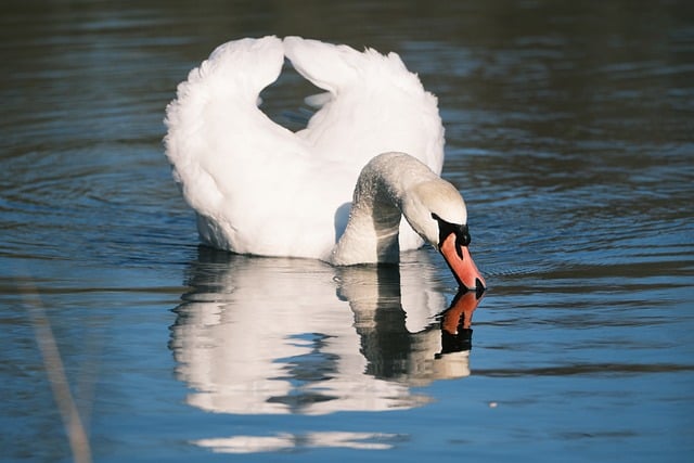 Sheryl Kate tweet media