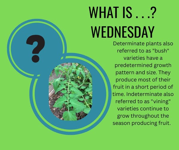 It's FBC Master Gardeners What is...Wednesday. Today's terms are ...