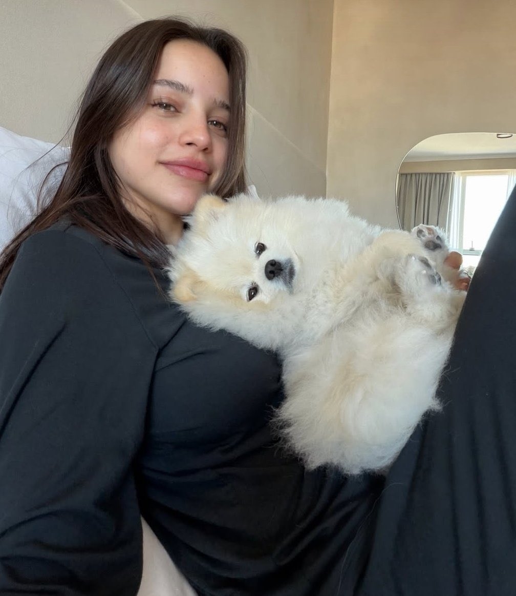 thi broda tweet media