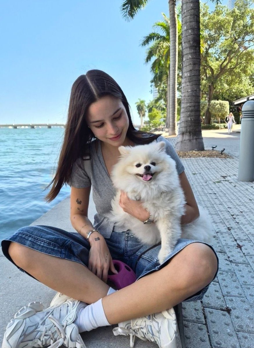 thi broda tweet media