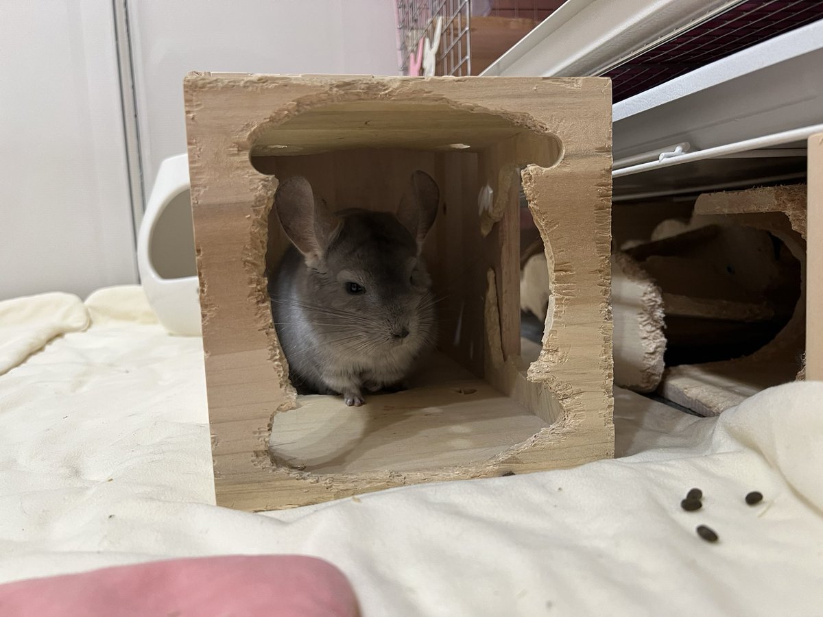 Micu201637🦭 tweet media