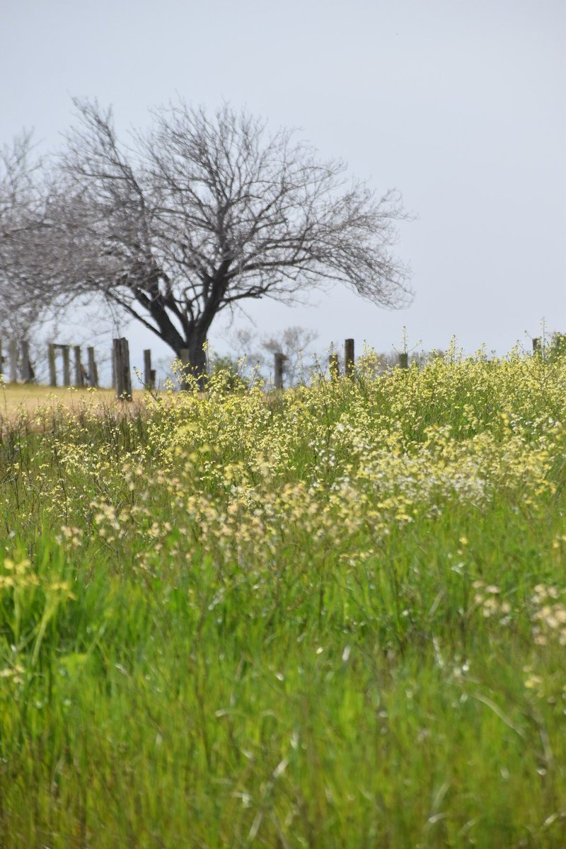 1gou（くくる） tweet media