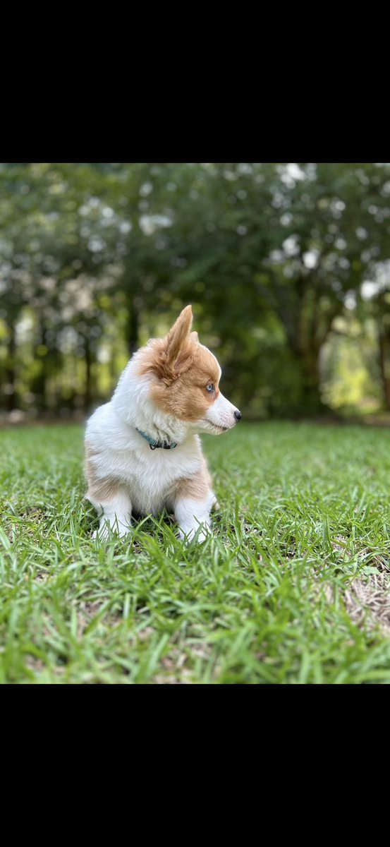 I am Hugh Jashul, PhD. (Spirit Thief) tweet media