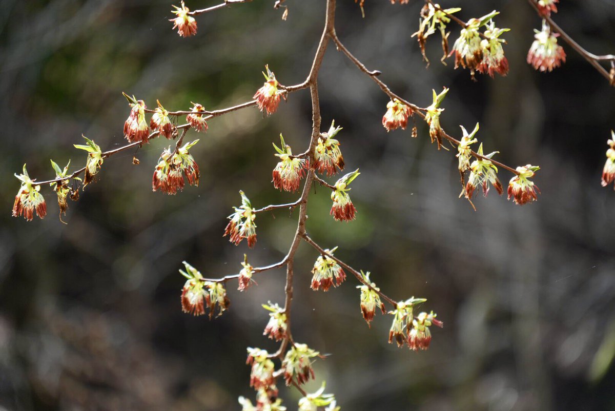 山笑海笑 tweet media