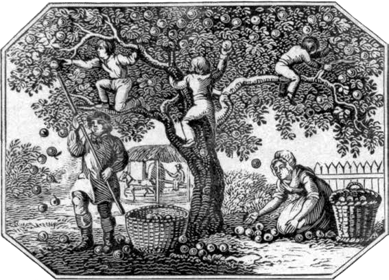 Nancy Pearcey tweet media