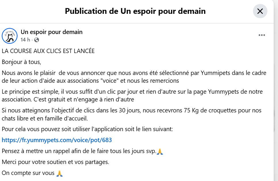justineducern's tweet photo. Pour aider cette asso Un espoir pour demain de Rouen, faire chaque jour 1 clic sur le lien bleu afin de lui permettre peut-être d'obtenir 75 Kgs de croquettes pour nourrir ses chats libres à la rue, stérilisés et identifiés à son nom, afin qu'ils ne meurent pas de faim. Merci https://t.co/34FYK3CfBZ