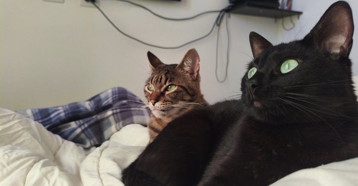 𝓕𝓮𝓻. tweet media