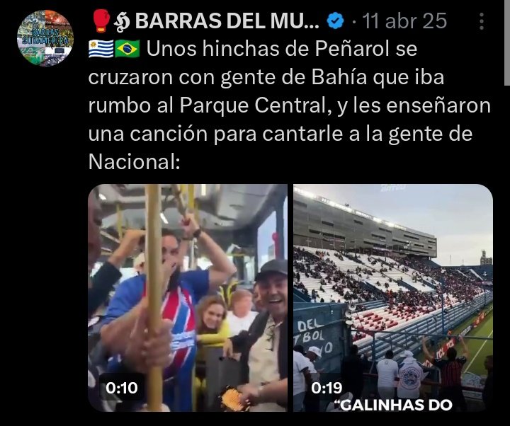 Bolso Locura tweet media