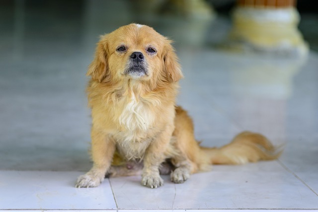 Antonio Nelson tweet media