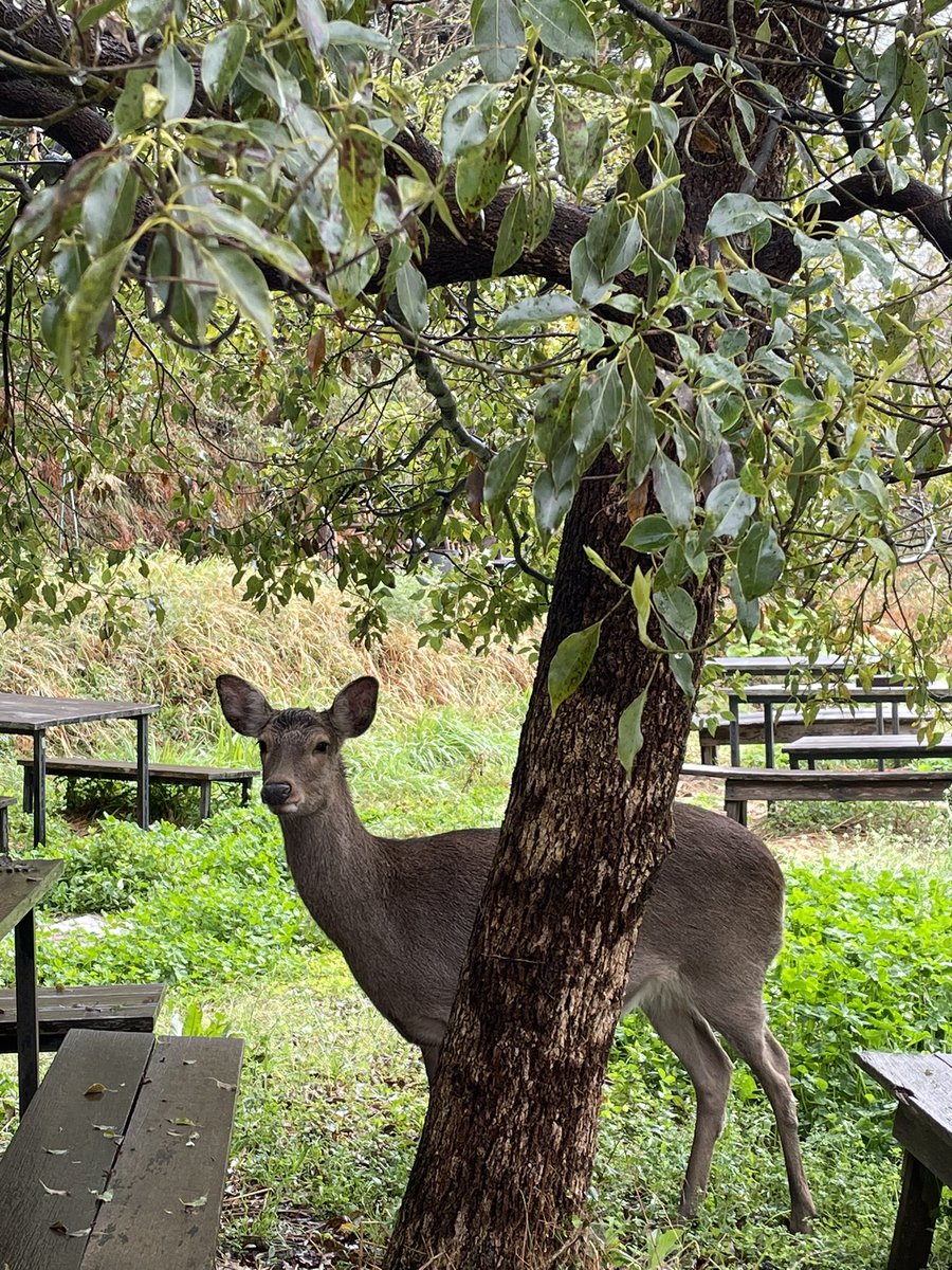 渡邉幹 - Motoki Watanabe tweet media