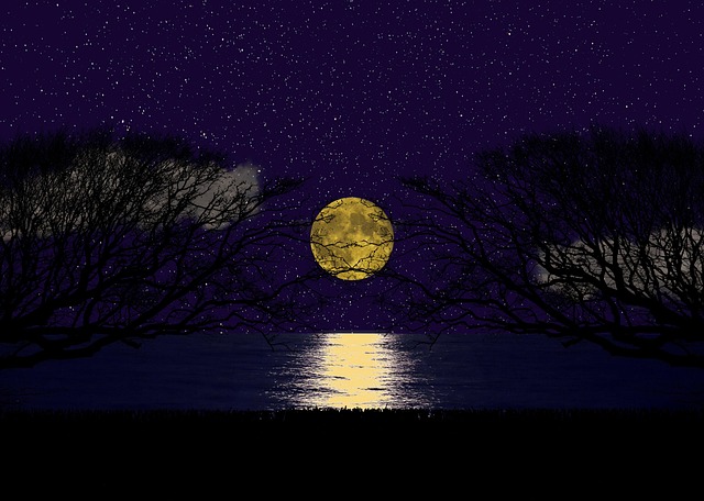 Gabriel Moore tweet media