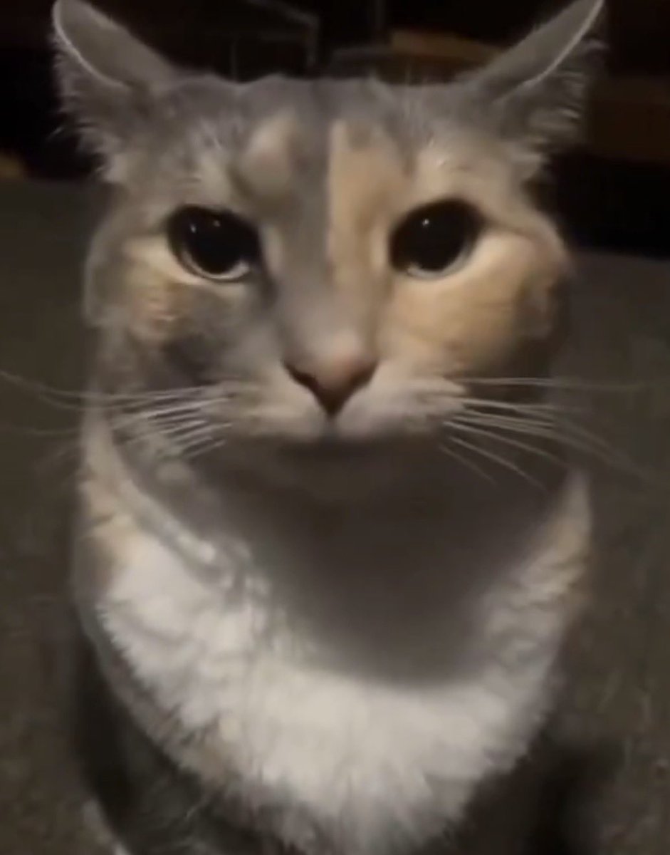 Davi Mota tweet media