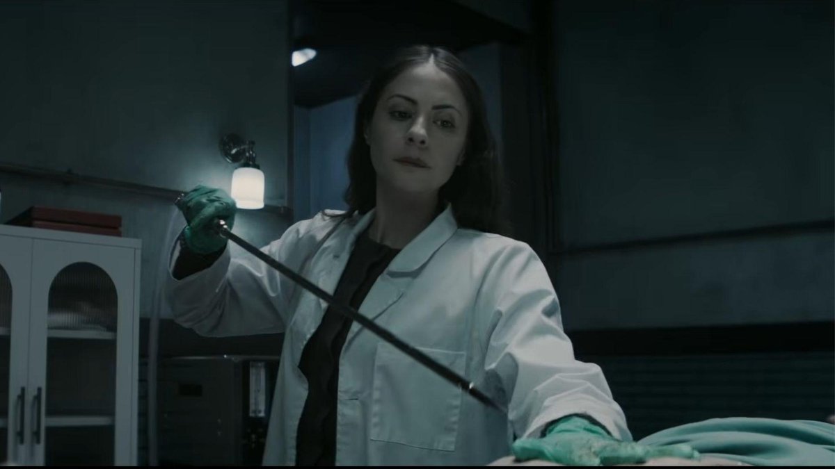 best of willa holland tweet media
