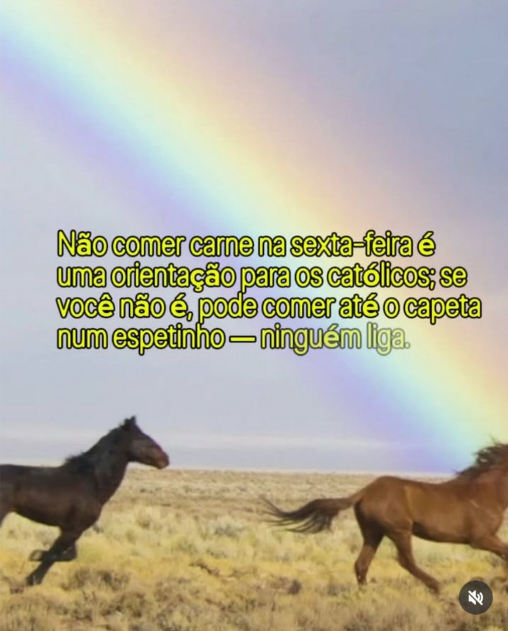 Incel Honoris Causa🔴⚫🦁 tweet media